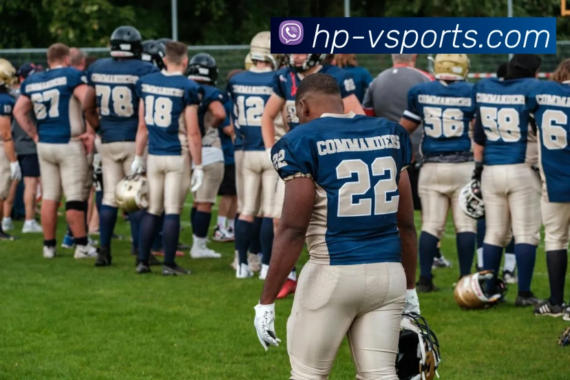 V体育Web版发展历程