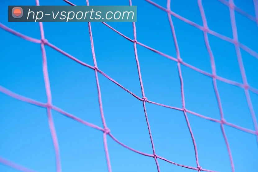 赫内斯若夏天按媒体的说法去买人就没有卡尔和比朔夫了